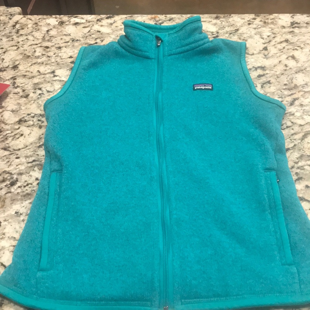 Patagonia Better Sweater Vest